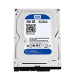 250 GB SATA Desktop Hard Drive-Internal WD
